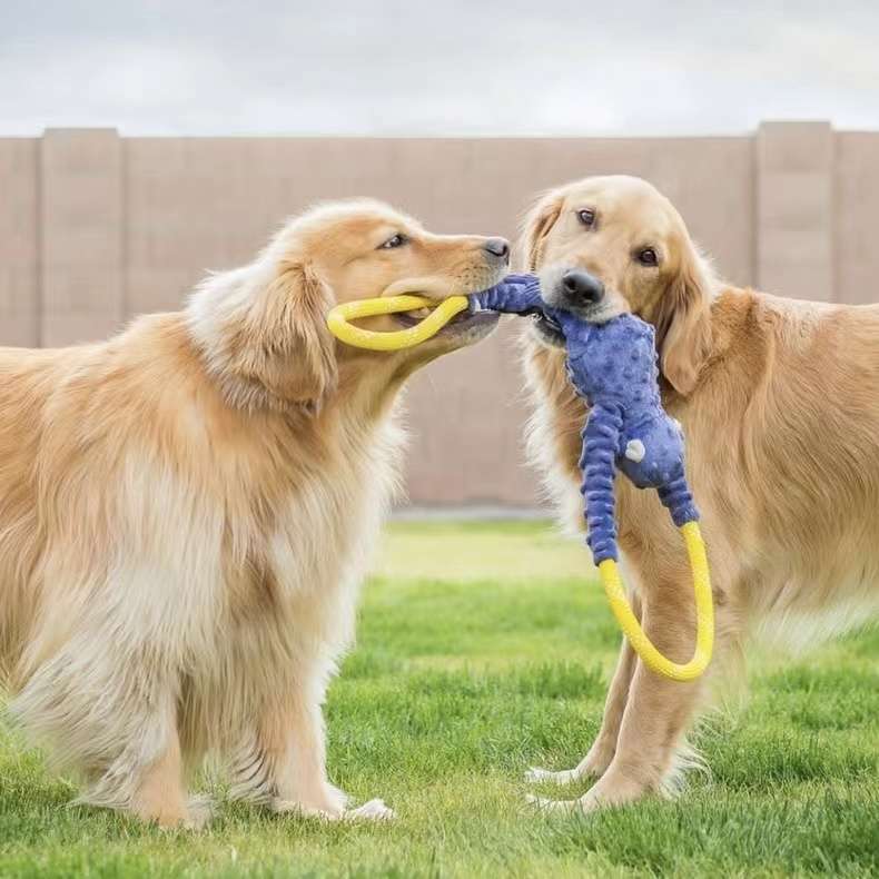 犬 おもちゃ ロープ | ワンちゃんのフリスビーロープ