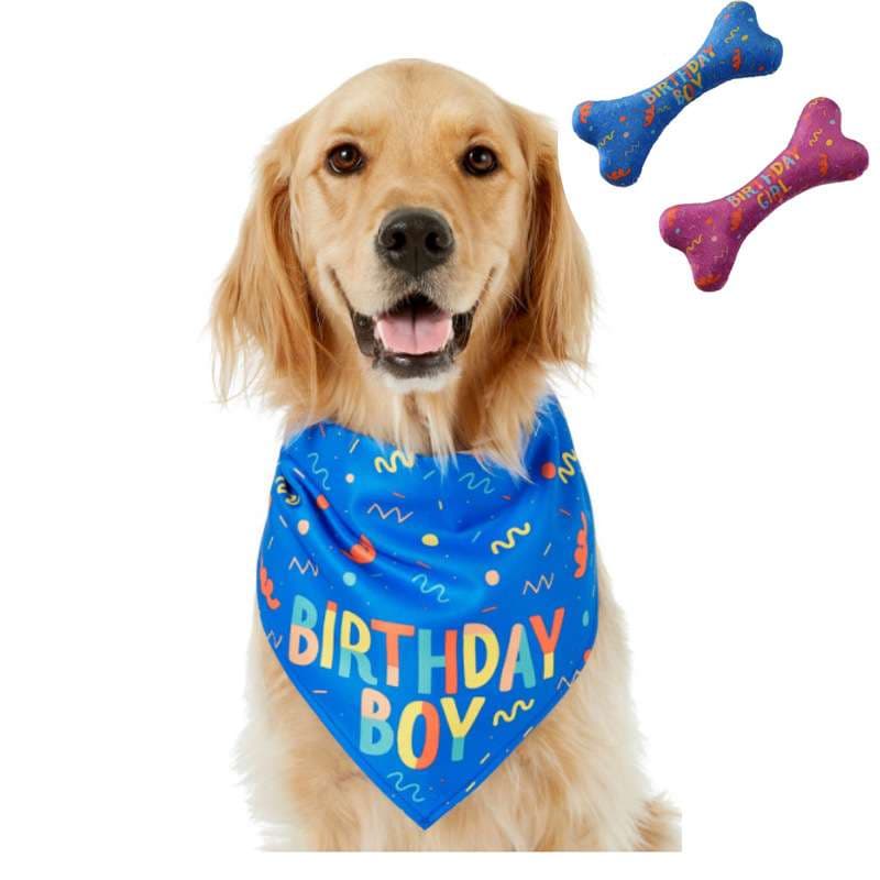犬 おもちゃ 骨 | お誕生日わんちゃん用おもちゃの骨