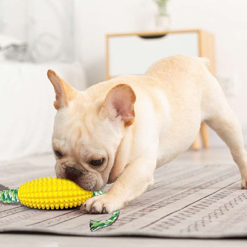 犬 おもちゃ 歯磨き | わんちゃんの歯磨きコーンおもちゃ