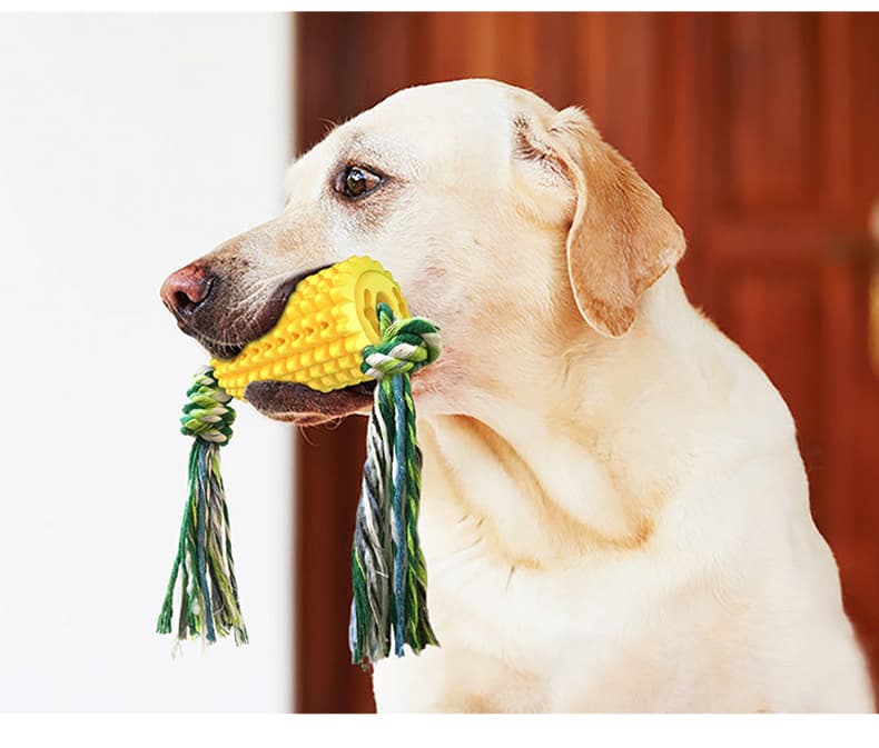 犬のおもちゃ とうもろこし型デンタルロープおもちゃ