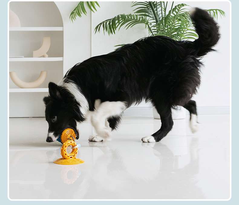 犬 おもちゃ | 吸盤付き噛みごたえ最強ボール