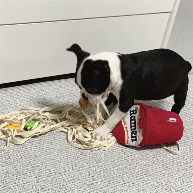 犬のおもちゃ 麺屋さんごっこ 愛犬用ロープおもちゃ