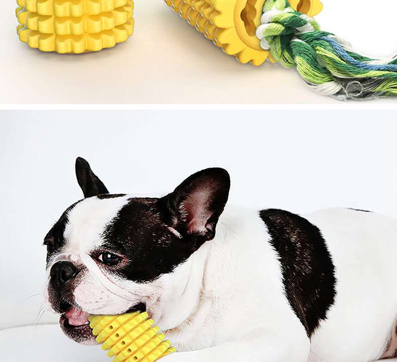 犬 おもちゃ 歯磨き | わんちゃんの歯磨きコーントイ