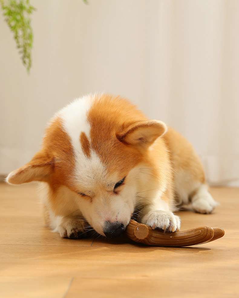犬 おもちゃ 骨 | 天然木製 噛み心地抜群のワンちゃん用おもちゃ