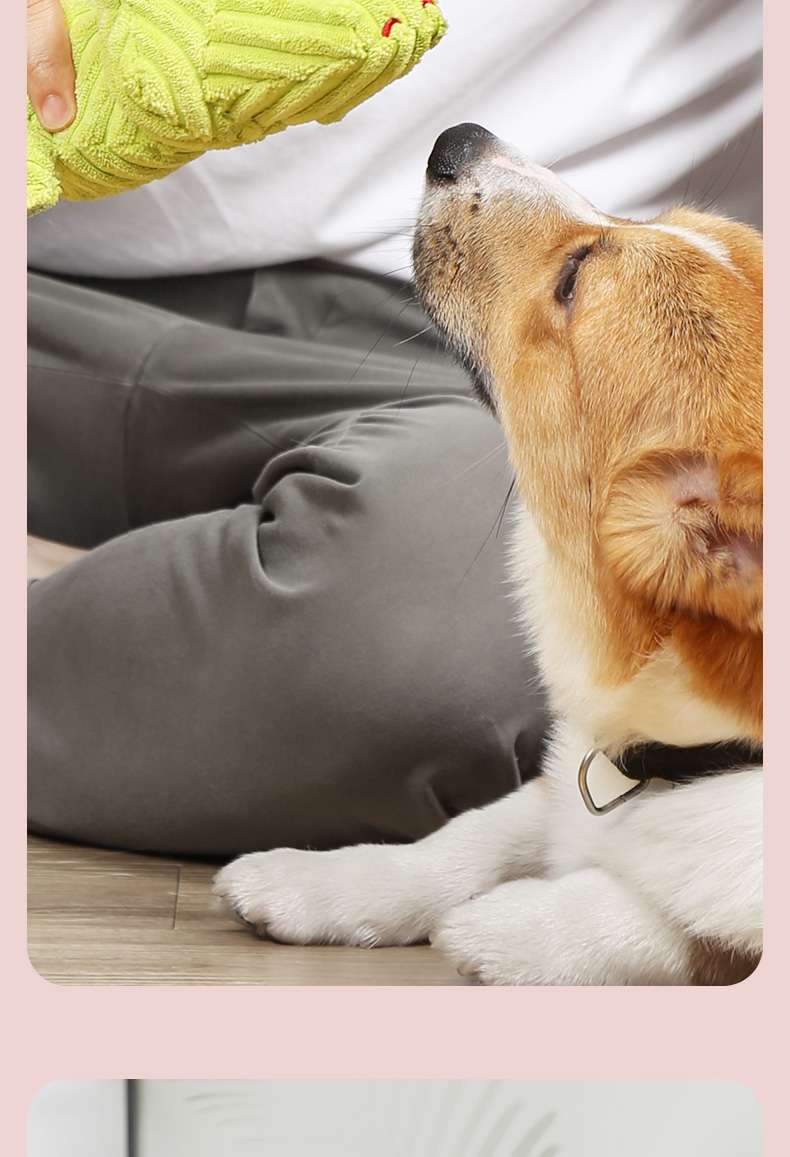 犬 おもちゃ ぬいぐるみ | モコモコ恐竜のぬいぐるみおもちゃ